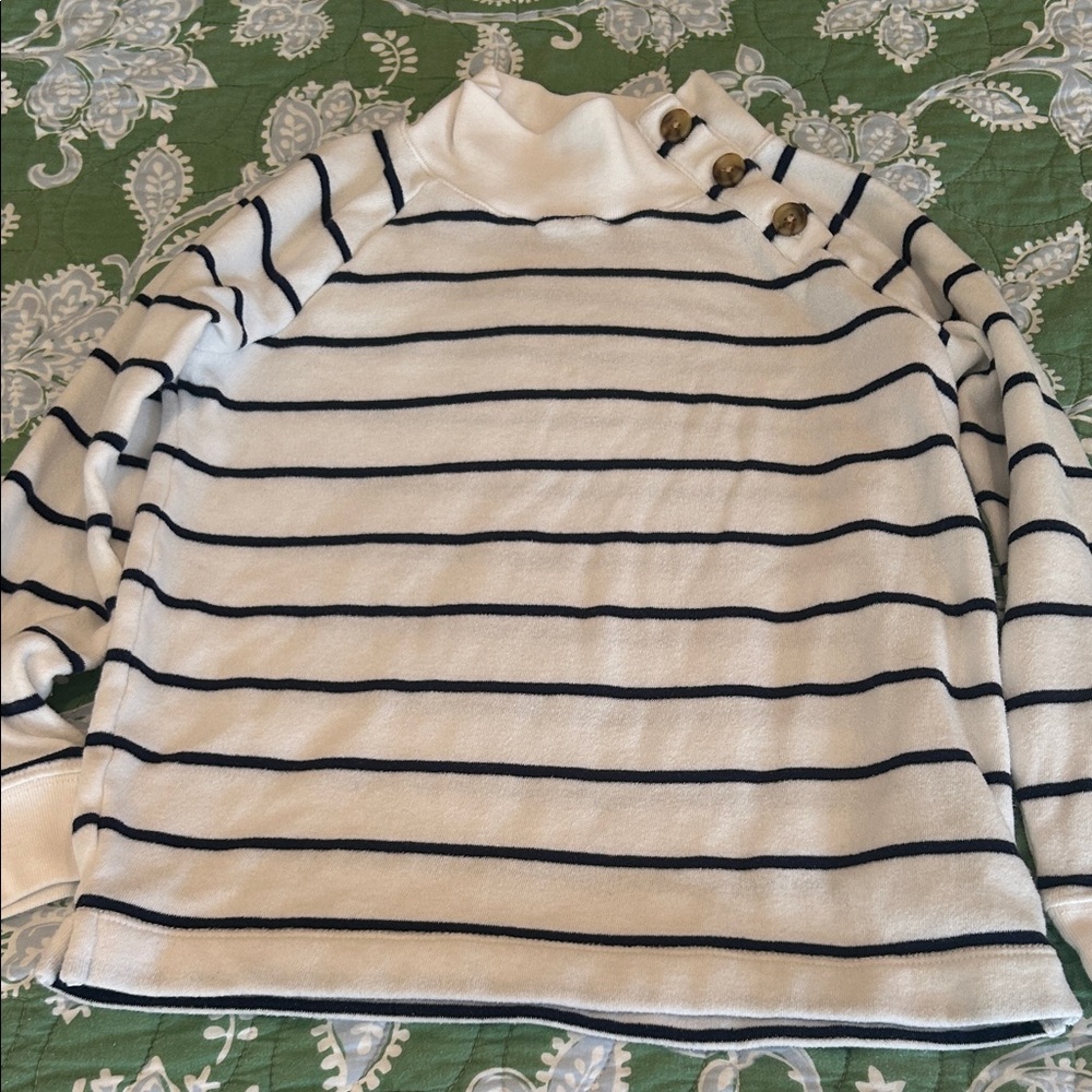 Crewcuts Navy and White Striped Turtleneck Sweater With Button Details